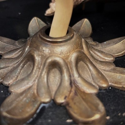 Envolée de papillons sous cloche ancienne d'époque Napoléon III