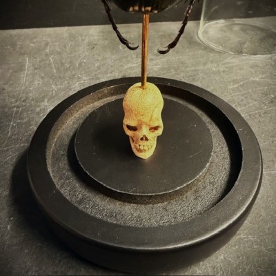 Chalcosoma atlas Scarab - Scarab under a glass dome