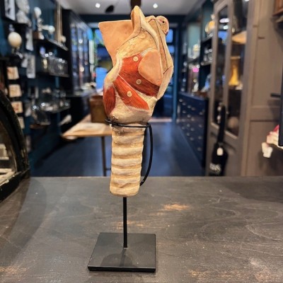 Anatomical model of larynx - Dr Auzoux - Antique papier-mâché 1938