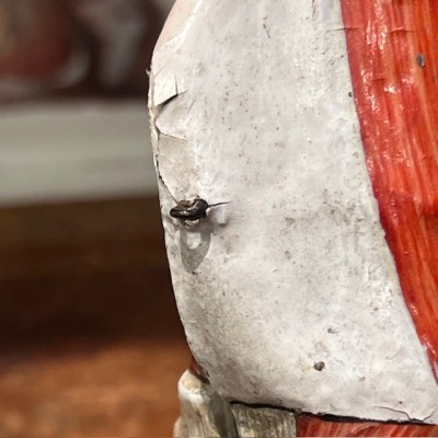 Dr Auzoux - Modèle anatomique de larynx - Papier-mâché