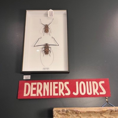 DERNIERS JOURS - Ancien Panneau de Cinéma peint