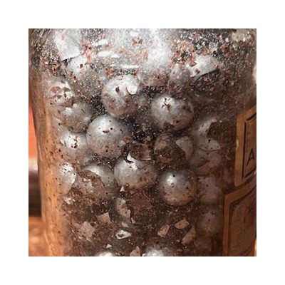 ANTE-CIBUM pills - Antique pharmacy bottle - Apothecary