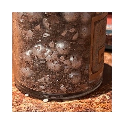 ANTE-CIBUM pills - Antique pharmacy bottle - Apothecary