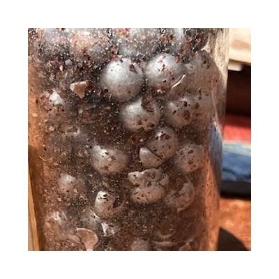 Pilules ANTE-CIBUM - Pilules gourmandes - Flacon ancien de pharmacie