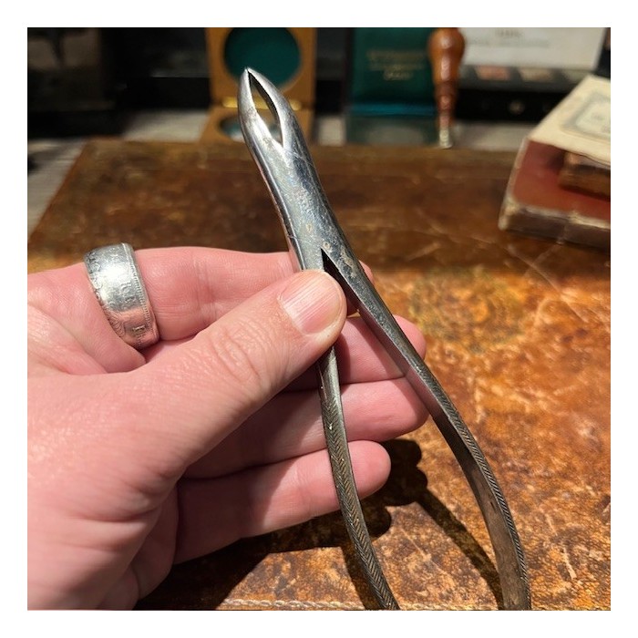 Dental forceps - For extracting teeth - Circa 1900 - Luer manufacturer