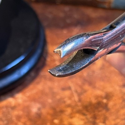 Dental forceps - For extracting teeth - Circa 1900 - Luer manufacturer