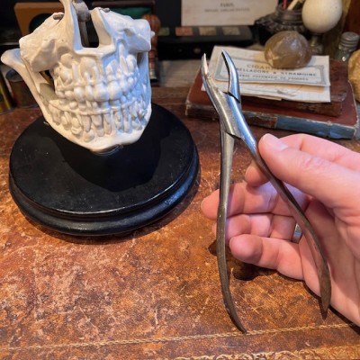 Davier dentaire - Pince pour arracher les dents - 1900 - Luer à Paris