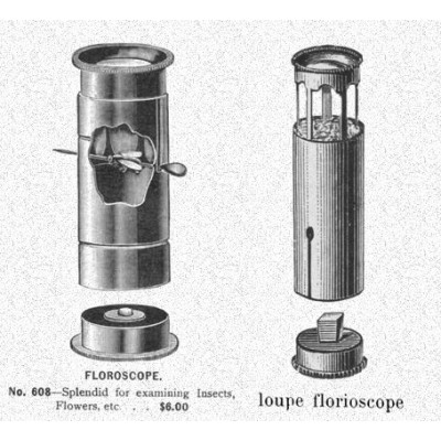 Floroscope - Brass insectoscope - pocket microscope - XIXth century