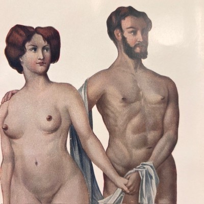 Atlas anatomique - L'homme et la femme - planches démontables - 1930