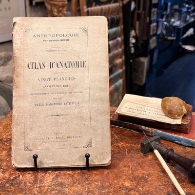 Atlas anatomique - Anthropologie - 20 Gravures Fin XIXème siècle