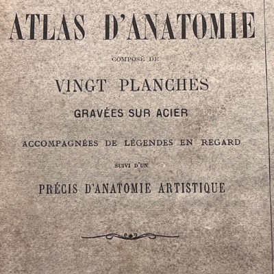 Atlas anatomique - Anthropologie - 20 Gravures Fin XIXème siècle