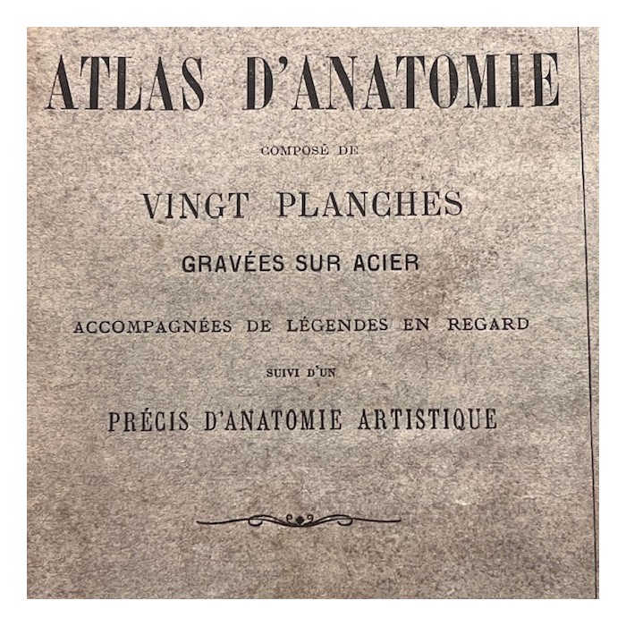 Anatomical Atlas by A. Bossu - Anthropology - End of the XIXth century