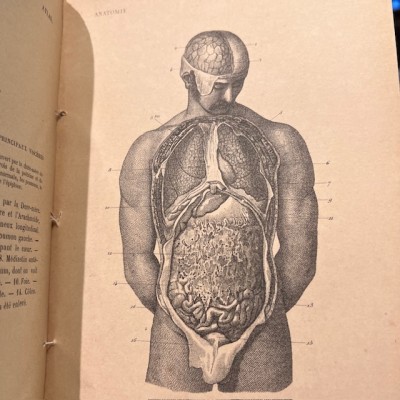 Anatomical Atlas by A. Bossu - Anthropology - End of the XIXth century