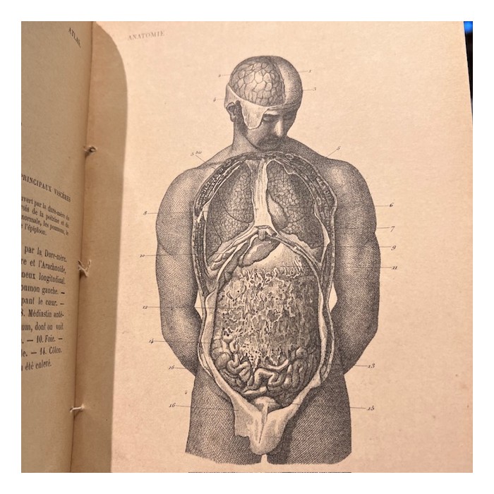 Anatomical Atlas by A. Bossu - Anthropology - End of the XIXth century