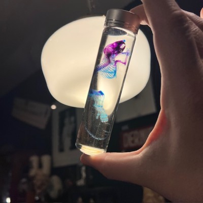 Diaphanization of a mouse - Mus musculus