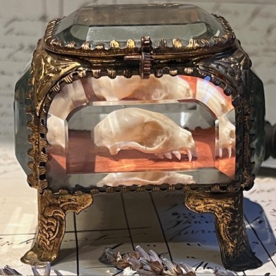 Boite reliquaire du XIXème siècle - Coffret à bijoux