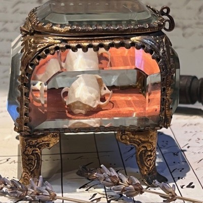 Reliquary box - 19th century - Jewelry box