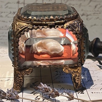 Reliquary box - 19th century - Jewelry box