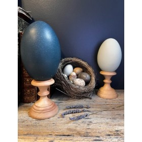 Emú egg - Size M - Emú - EMPTY and pierced egg - 10/11cm