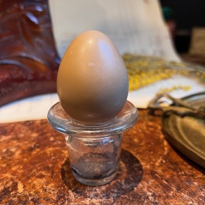 Oeuf de faisan - Naturel et vidé - 4cm