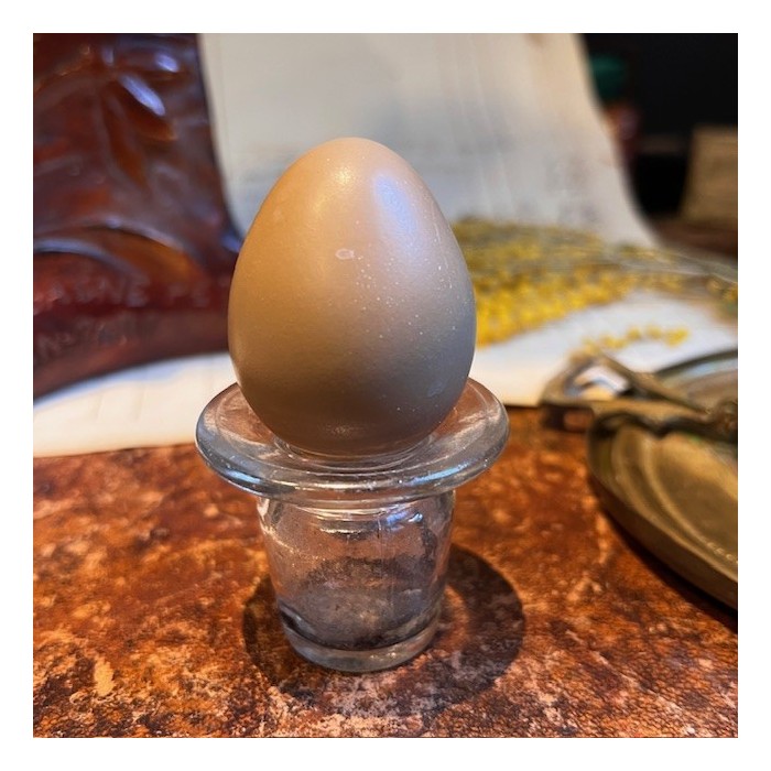 Pheasant egg - Natural and emptied - 4cm