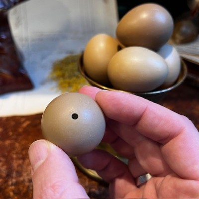 Oeuf de faisan - Naturel et vidé - 4cm