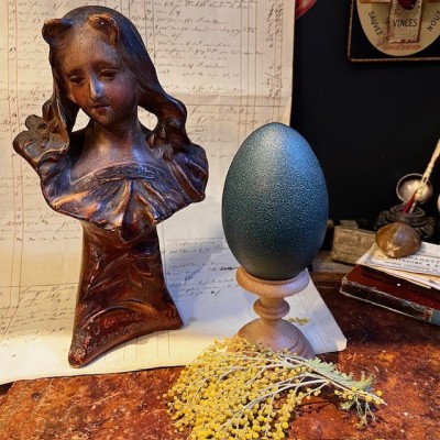 Emú egg - Size M - Emú - EMPTY and pierced egg - 10/11cm