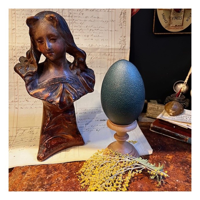 Emú egg - Size M - Emú - EMPTY and pierced egg - 10/11cm