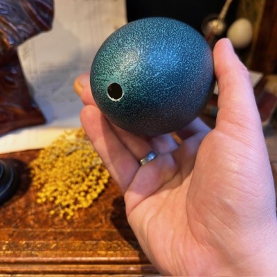 Emú egg - Size M - Emú - EMPTY and pierced egg - 10/11cm