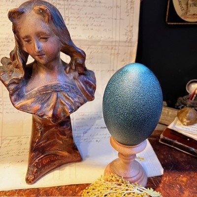 Oeuf d'émeu - Taille M - Emeu - Oeuf VIDE et percé - 10/11cm