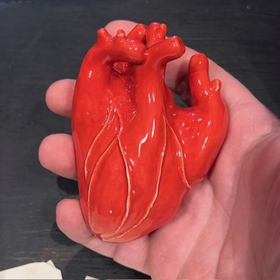 Coeur anatomique en céramique par l'Artiste Naouchka - Pièce unique