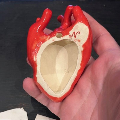 Anatomical heart in ceramic by Artist Naouchka - Unique piece