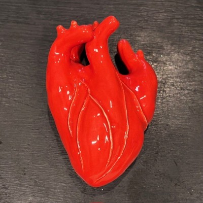 Coeur anatomique en céramique par l'Artiste Naouchka - Pièce unique