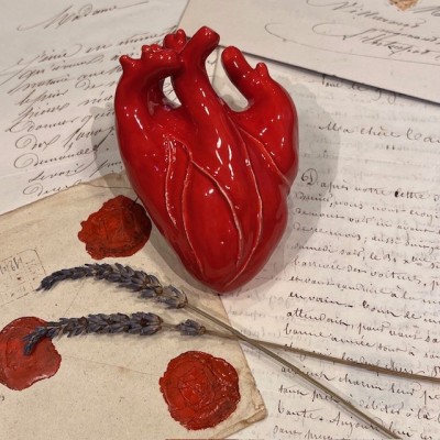 Anatomical heart in ceramic by Artist Naouchka - Unique piece