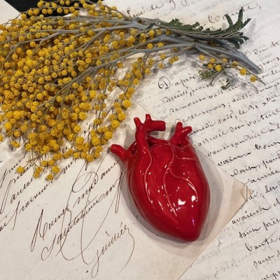 Coeur anatomique en céramique par l'Artiste Naouchka - Pièce unique