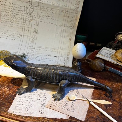 Salamander - Pharmacy corkscrew in bronze - XIXth century