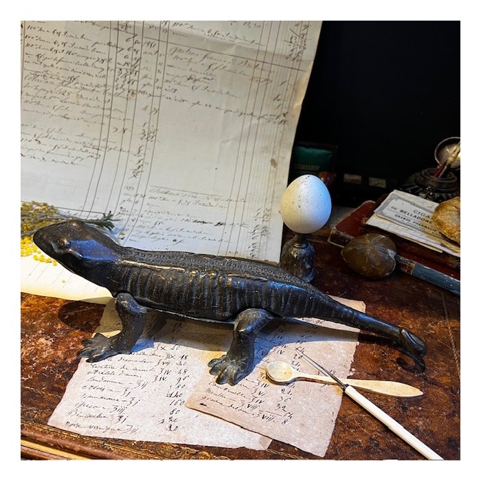 Salamander - Pharmacy corkscrew in bronze - XIXth century