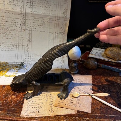 Salamander - Pharmacy corkscrew in bronze - XIXth century