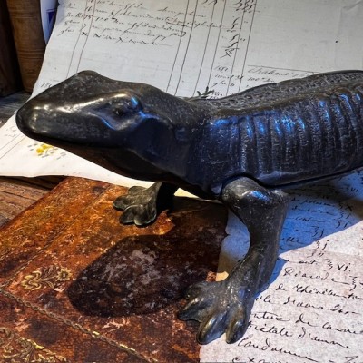 Salamandre - Mâche-bouchon de pharmacie en bronze - XIXème siècle