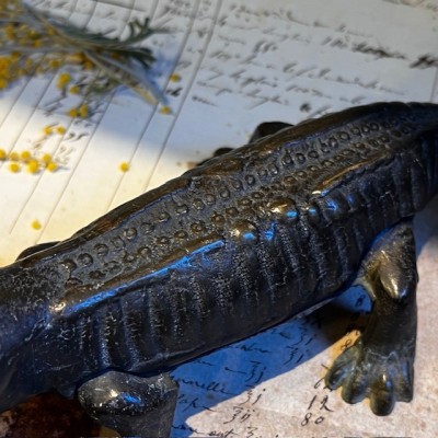 Salamander - Pharmacy corkscrew in bronze - XIXth century