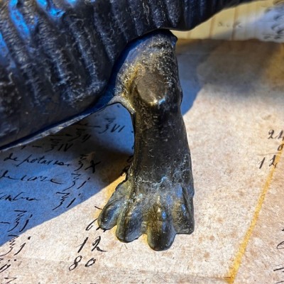 Salamandre - Mâche-bouchon de pharmacie en bronze - XIXème siècle