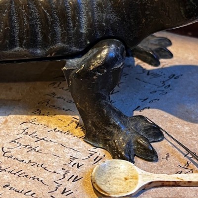 Salamandre - Mâche-bouchon de pharmacie en bronze - XIXème siècle