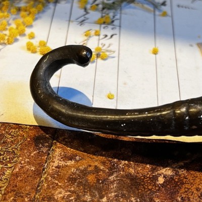 Salamander - Pharmacy corkscrew in bronze - XIXth century