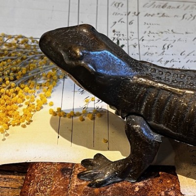 Salamander - Pharmacy corkscrew in bronze - XIXth century