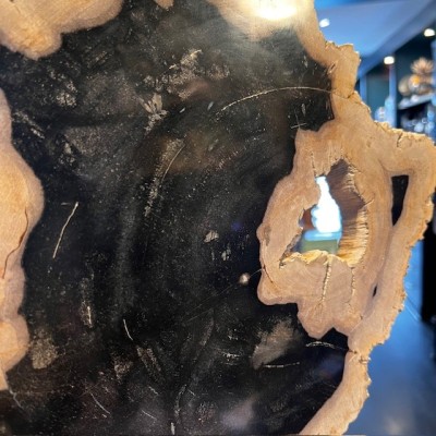 Tranche de bois fossile - Bois pétrifié d'Indonésie