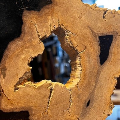 Fossil wood slice - Petrified wood from Indonesia