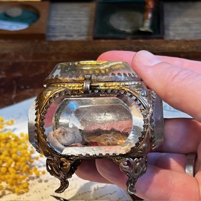 Reliquary box - 19th century - Jewelry box