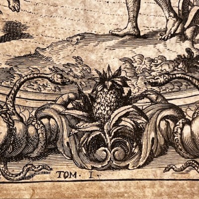 Histoire Générale des drogues - Par Pomet - Livre ancien de 1735