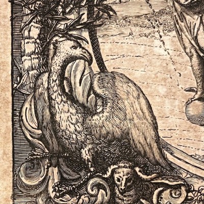 Histoire Générale des drogues - Par Pomet - Livre ancien de 1735