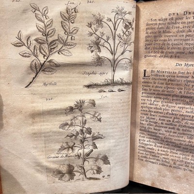 Histoire Générale des drogues - Par Pomet - Livre ancien de 1735